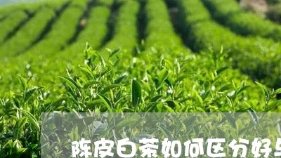 陈皮白茶如何区分好与坏/2023032950583