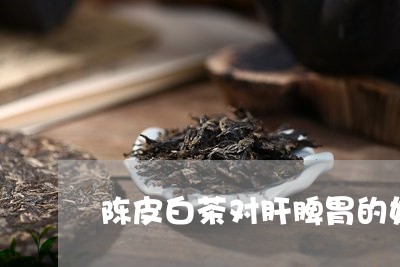 陈皮白茶对肝脾胃的好处/2023032904380