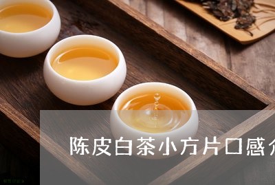 陈皮白茶小方片口感介绍/2023032930512