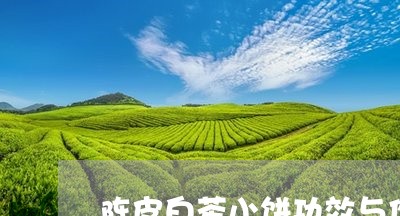 陈皮白茶小饼功效与作用/2023032981716