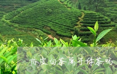 陈皮白茶属于绿茶吗/2023032938203