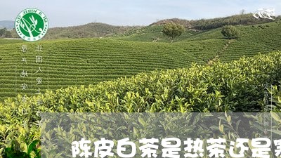 陈皮白茶是热茶还是寒茶/2023032940794