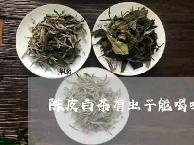 陈皮白茶有虫子能喝吗吗/2023032916078