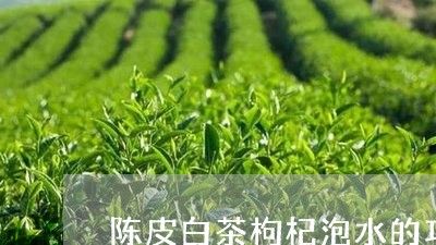 陈皮白茶枸杞泡水的功效/2023032960895