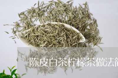 陈皮白茶柠檬茶做法简单/2023032942850