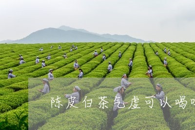 陈皮白茶气虚可以喝吗吗/2023032984057