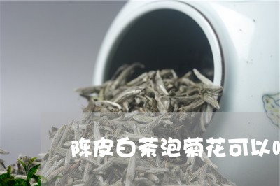 陈皮白茶泡菊花可以喝吗/2023032960734