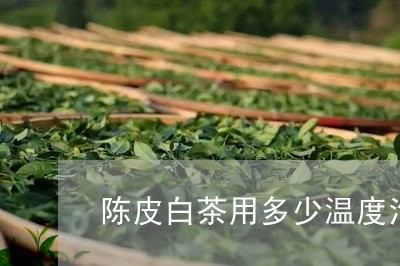 陈皮白茶用多少温度泡茶/2023032905959