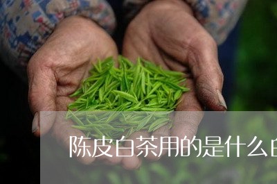 陈皮白茶用的是什么白茶/2023032947490