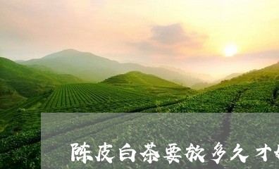 陈皮白茶要放多久才好呢/2023032970038