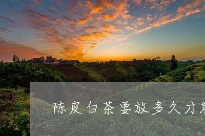 陈皮白茶要放多久才能喝/2023032906516