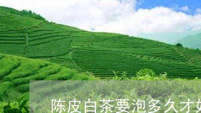 陈皮白茶要泡多久才好泡/2023032908693