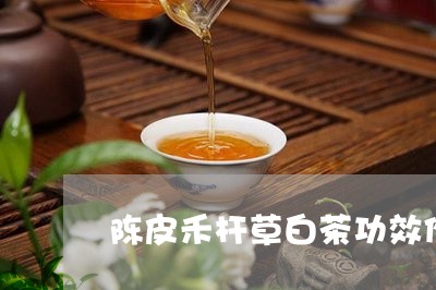 陈皮禾杆草白茶功效作用/2023032904948