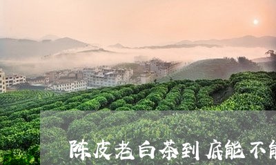 陈皮老白茶到底能不能喝/2023032962815