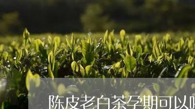 陈皮老白茶孕期可以喝吗/2023032981713