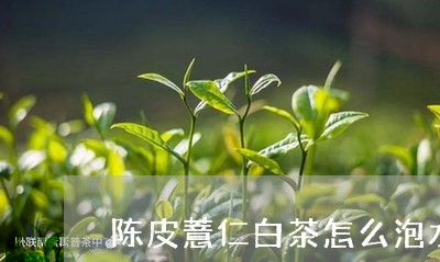 陈皮薏仁白茶怎么泡水喝/2023032935936