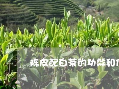 陈皮配白茶的功效和作用/2023032931503