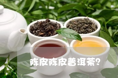 陈皮陈皮普洱茶？/2023041029626