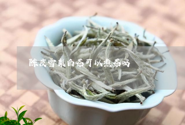 陈皮雪梨白茶可以煮茶吗/2023032943927