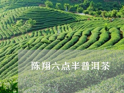 陈翔六点半普洱茶/2023033061815