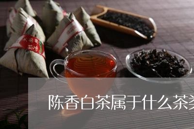 陈香白茶属于什么茶类别/2023032926169