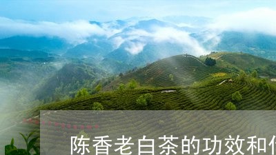 陈香老白茶的功效和作用/2023032986373