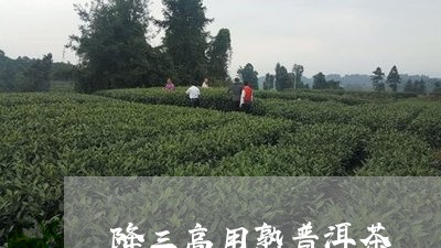 降三高用熟普洱茶/2023033050262