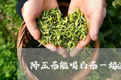 降压茶能喝白茶一起泡吗/2023032914917