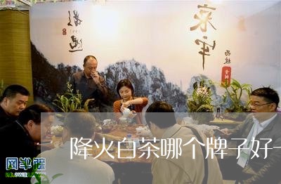 降火白茶哪个牌子好一点/2023032939370