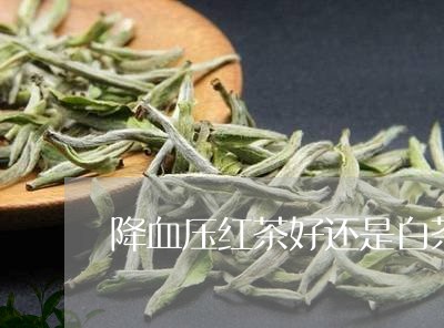 降血压红茶好还是白茶好/2023032950515