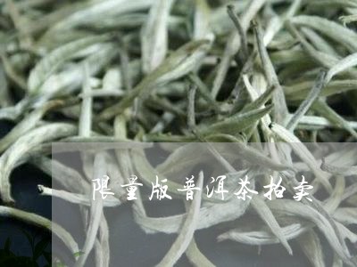 限量版普洱茶拍卖/2023031703825