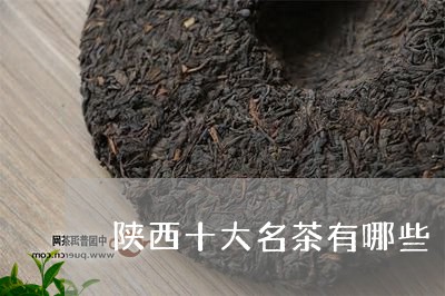 陕西十大名茶有哪些/2023032198362