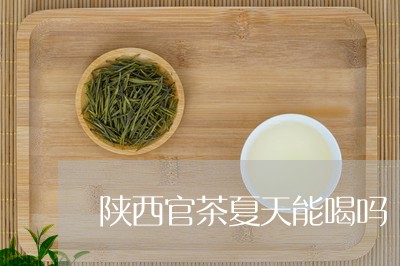 陕西官茶夏天能喝吗/2023031806359