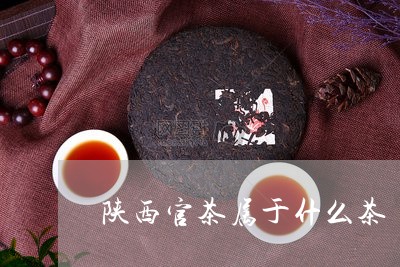 陕西官茶属于什么茶/2023041507290