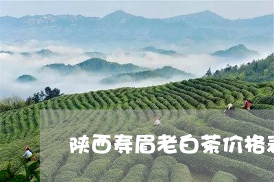 陕西寿眉老白茶价格表图/2023032903848