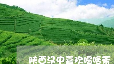 陕西汉中喜欢喝啥茶/2023041471693