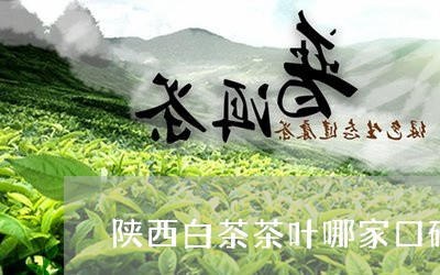 陕西白茶茶叶哪家口碑好/2023032903936