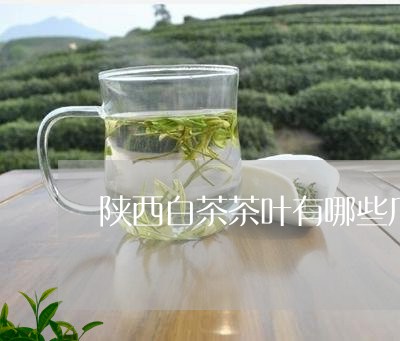 陕西白茶茶叶有哪些厂家/2023032932039