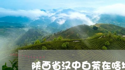 陕西省汉中白茶在啥地方/2023032928272