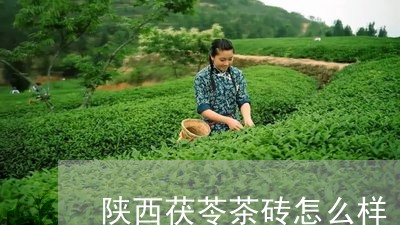 陕西茯苓茶砖怎么样/2023041672724