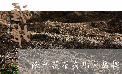 陕西茯茶有几大品牌/2023041516350