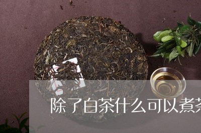 除了白茶什么可以煮茶喝/2023032962725