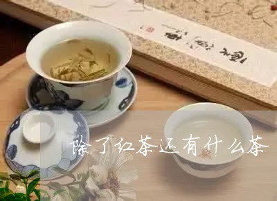 除了红茶还有什么茶/2023041697147