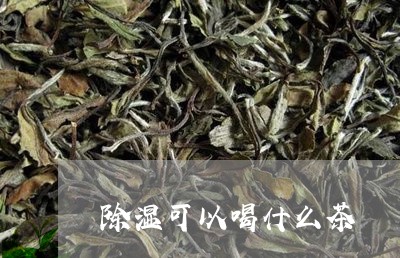 除湿可以喝什么茶/2023032319361