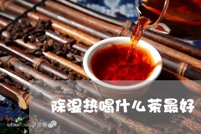 除湿热喝什么茶最好/2023041571715