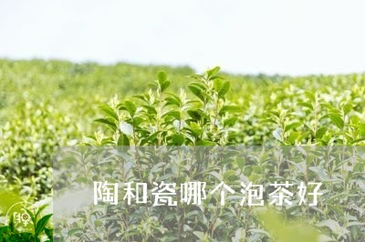 陶和瓷哪个泡茶好/2023032553949