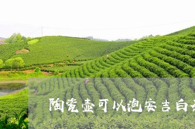 陶瓷壶可以泡安吉白茶吗/2023032951813