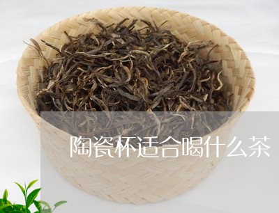 陶瓷杯适合喝什么茶/2023031996048