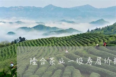 隆合茶业一级寿眉价格表/2023032962971