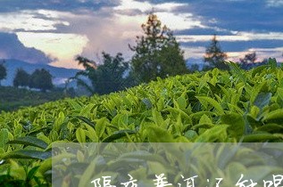 隔夜普洱还能喝吗/2023032972703